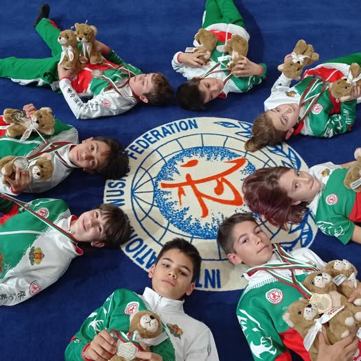 Ушу спортен клуб “Академик – Златен тигър”